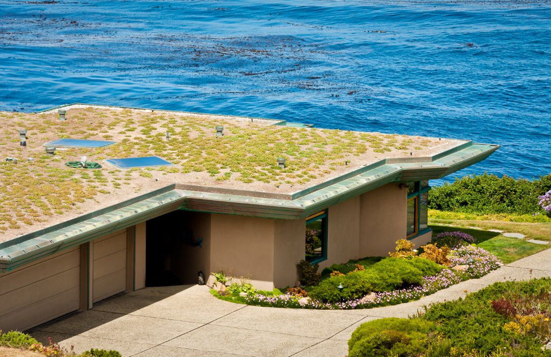 Green Roofs